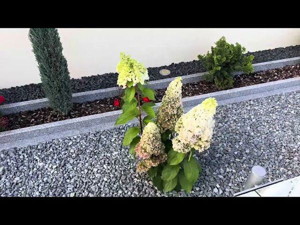 Мечта сбылась.Радуюсь как пацан.Небольшой обзор.Проезд через деревни.Гараж.Германия.