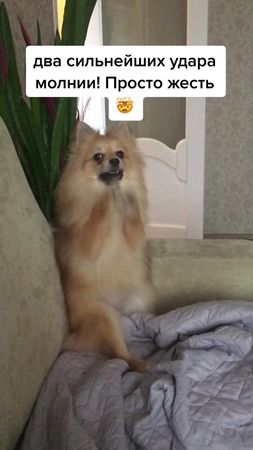 #жесть#удалмолнии#страх