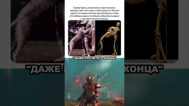 Настоящая любовь ❤️