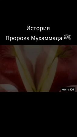 Фатима и Али #пророкмухаммад #историяпророков #исламские #религияисла...