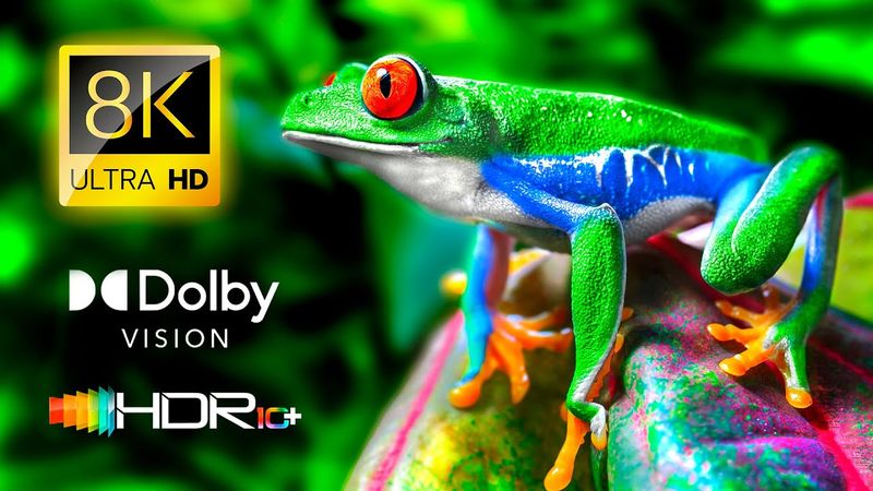 Dolby Vision 8K HDR 210fps [OLED ТЕСТ ДЕМО] - ДИВА ЗЕМЛІ Відео 4K ULTRA HD #8K