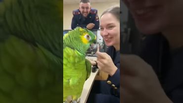 Похититель сердец