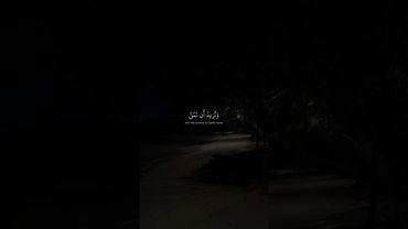 وَنُريدُ أَن نَمُنَّ عَلَى الَّذينَ استُضعِفوا فِي الأَرضِ | محمد صديق المنشاوي | سورة القصص