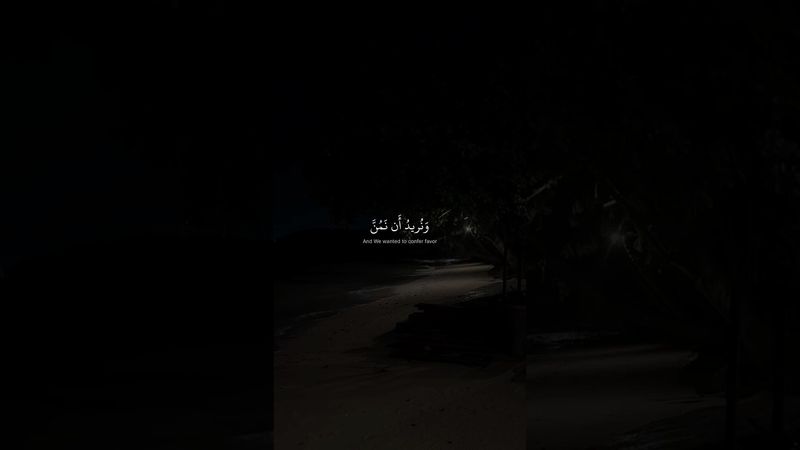 وَنُريدُ أَن نَمُنَّ عَلَى الَّذينَ استُضعِفوا فِي الأَرضِ | محمد صديق المنشاوي | سورة القصص