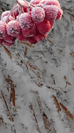 #поздравляювТикТок #доброеутро #