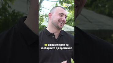 Летящи хлебарки в София: Мит или реалност? #novatv #хлебарки #американски