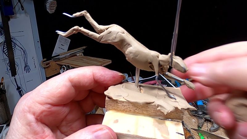 UNEXPECTED JOLT OF FEAR   New Jackrabbit Started