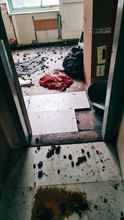 😪 #frissekater #schoonmaak #cleaningtiktok