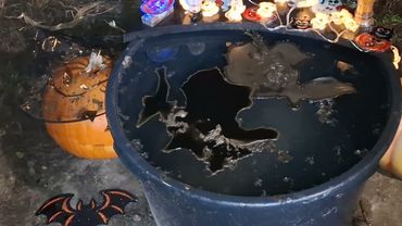 Чистка в котле на "ДЕНЬ ВСЕХ СВЯТЫХ"!!!😇😇😇😇😇😇😇🤩😘