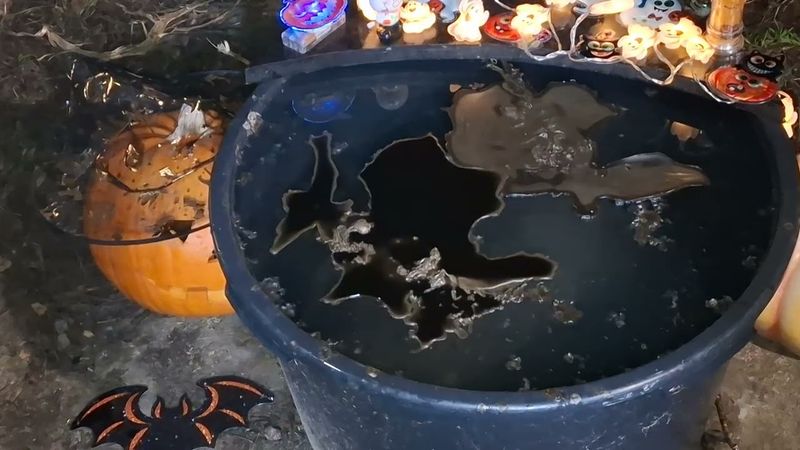 Чистка в котле на "ДЕНЬ ВСЕХ СВЯТЫХ"!!!😇😇😇😇😇😇😇🤩😘