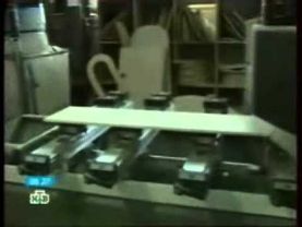 Козьмин 2009_09_09 НТВ.wmv