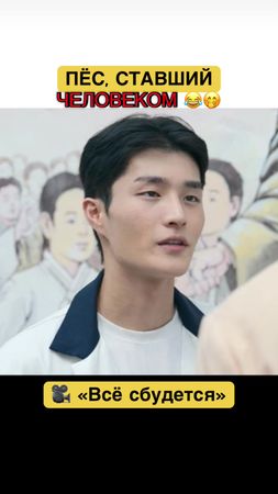 Какой злобный спаниель 🤣 #всёсбудется  #дорама2025  #kdramalover  #do...