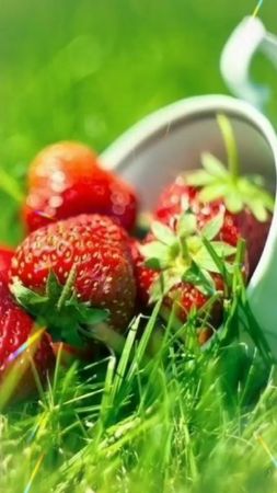 #спервымиюля #поздравькрасиво😘 #классногонастроения