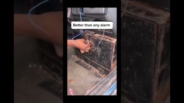 Music & memes – the perfect combo! 🎶🤣#humor #speed #cars