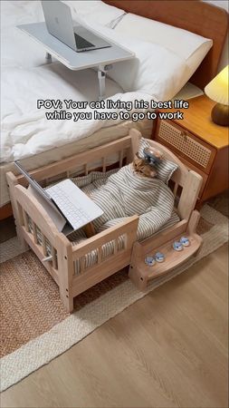 He literally has a better bedroom setup than I do! #SpoiledCat #CatLi...