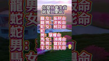你是什麼生肖就是什麼命！#生肖  #運勢  #玄學 #風水