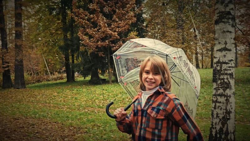 НЕБУ СЕРОМУ НЕ ВЕРЬ! ЯРОСЛАВ ГРЕБЕЛЬНЫЙ (сл. Светлана Лёвина, муз. Геннадий Демидов)