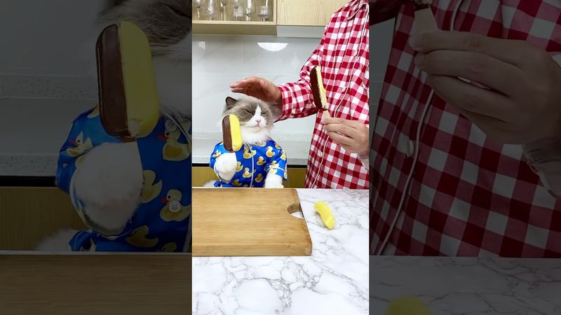 Be the other half #thatlittlepuff #bestfriend