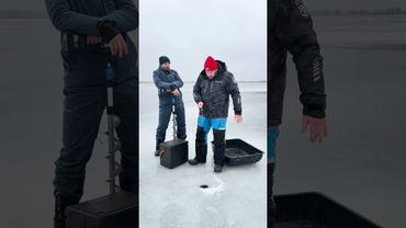 У всех есть такой настырный друг?🤔😂