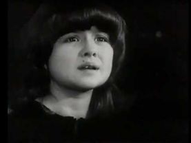 Ника Турбина "Я полынь трава"