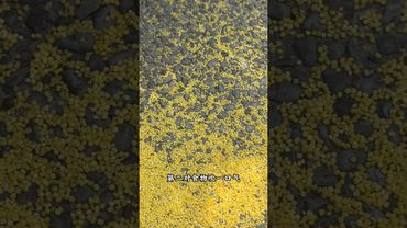 《日行一善》佈施行善法!如果你的運氣不是很好!做事也沒什麼貴人來幫忙!財運也是斷斷續續的!你就這樣做!#佈施 #國學文化 #民俗文化 #好運連連 #運勢 #正能量 #分享 #佈施 #迴向 #功德無量