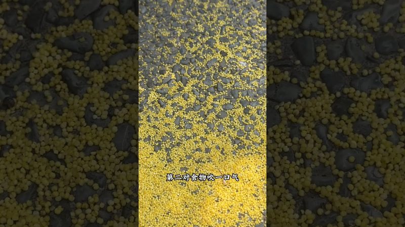 《日行一善》佈施行善法！如果你的運氣不是很好！做事也沒什麼貴人來幫忙！財運也是斷斷續續的！你就這樣做！#佈施 #國學文化 #民俗文化 #好運連連 #運勢 #正能量 #分享 #佈施 #迴向 #功德無量