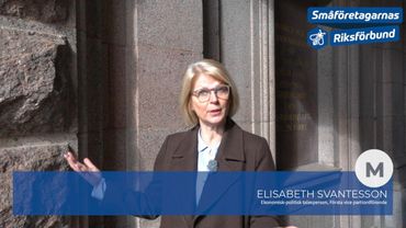 "I en pandemi måste saker gå fort" - Elisabeth Svantesson (M)