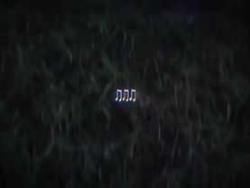 :3 королевский xvii- kiss heels #королевскийxvii #xvii #lyricsvideo #...