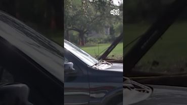 3 hospitalized in crash with downed power lines in southwest Houston, HPD says