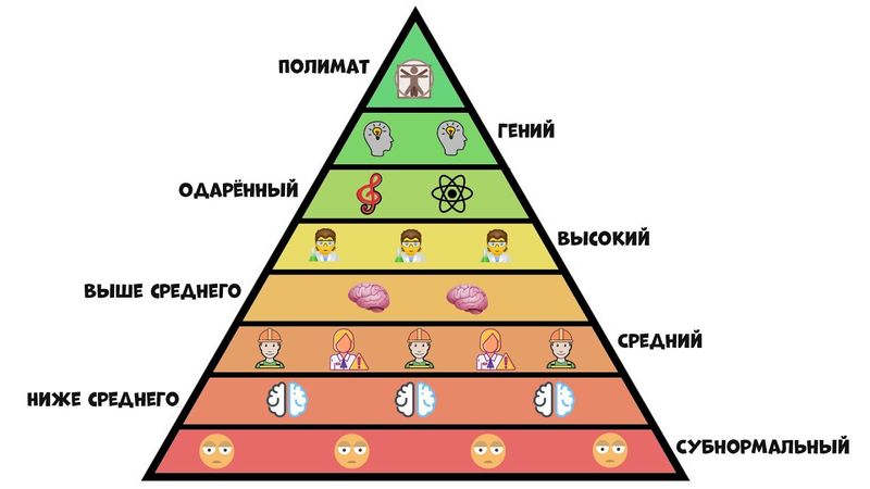 Все уровни интеллекта за 8 минут
