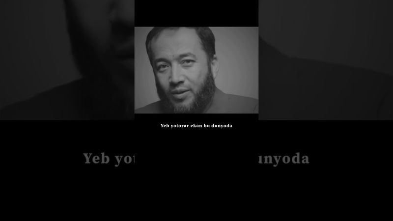 16 ноября 2024 г.