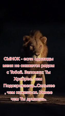 #детимойсмыслжизни