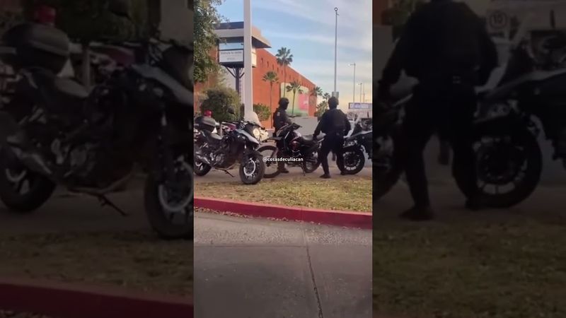 Se les pelo Baltazar 😂