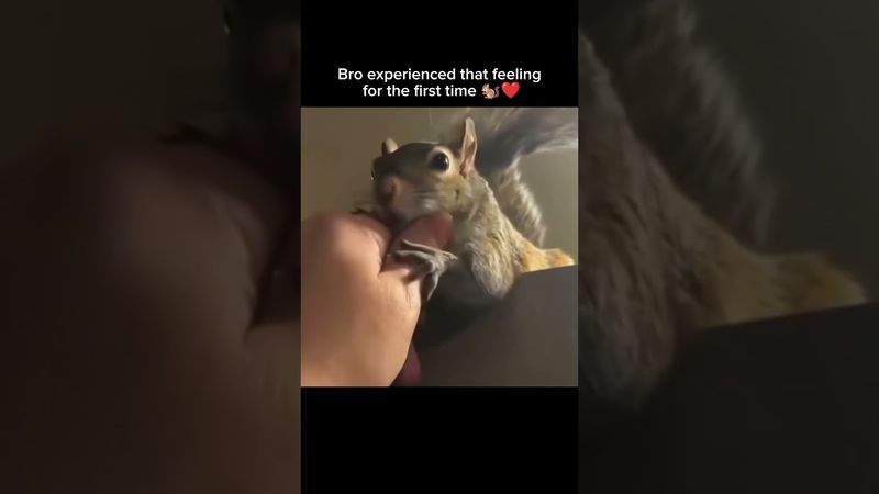 Bro experienced that feeling for the first time 🐿️❤️