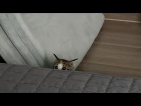 누나... ㅈㅓ 먼저 씻고 잘게요