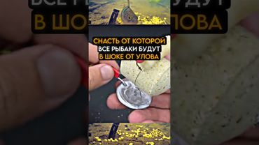 Снасть от которой даже рыбаки будут в шоке #карась #fishing #рыбалка