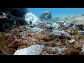 Hunting microplastics: French scientists sound the alarm on plastic pollution