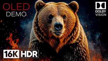 16K HDR Video Ultra HD in Dolby Vision - OLED Display Demo