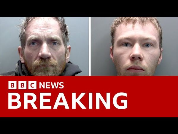 Men who cut down UK's iconic Sycamore Gap tree sentenced to four years in prison |  BBC News