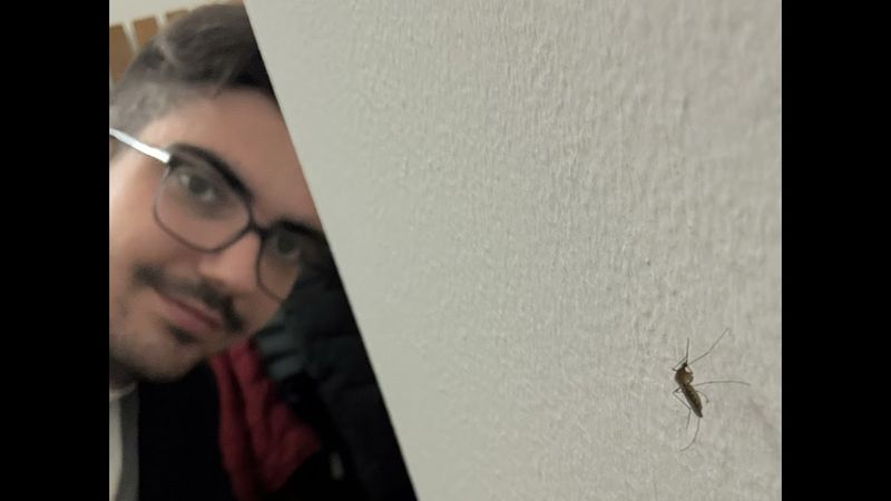 Duhovna misao - Vedran Jakić: Komarac - 27.08.2025.