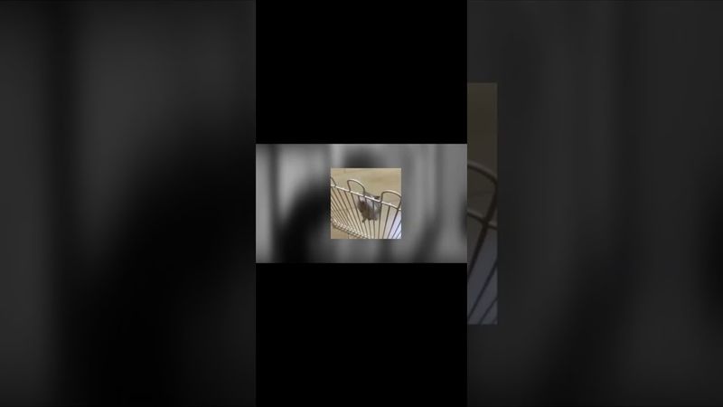 Самотність - це підпис під смертельним вироком сучасної організації суспільства і його оголошення.