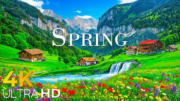 A Moment of Spring Life in Switzerland 🌷 Discover the Beauty of Swiss Countryside in 4K