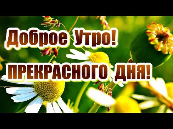 КРАСИВЫЕ ПЕСНИ ОБО ВСЁМ...ДОБРОЕ УТРО! ПРЕКРАСНОГО ДНЯ!