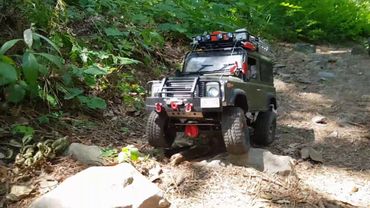 RC RC4WD D90 Defender Gaya  Mountain  Rock Crawling
