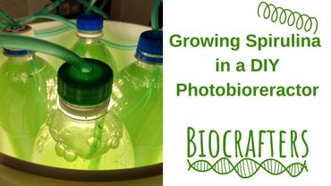 Growing Spirulina in a Simple DIY Photobioreactor, Home or Classroom, Food Pigment, Fertilizer #GIY