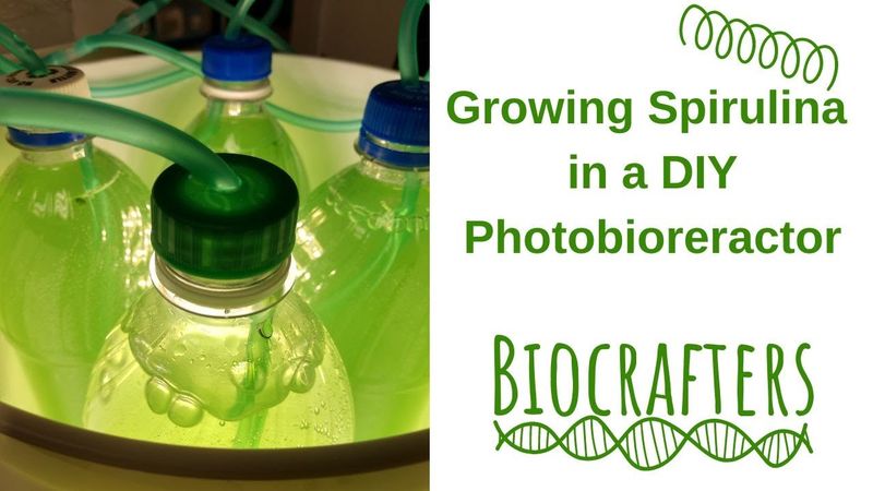 Growing Spirulina in a Simple DIY Photobioreactor, Home or Classroom, Food Pigment, Fertilizer #GIY