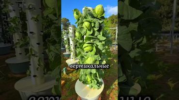 Как сделать грядку из трубы своими руками #дача #сад #огород #рассада #зелень #растения