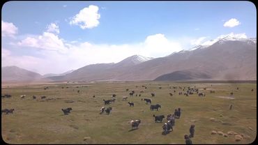 ✨… #tajikistan #🇹🇯 