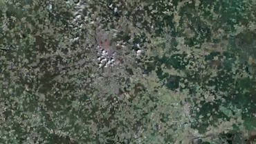 Теория завышенной численности (Страшная правда)