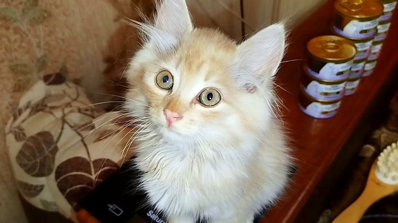 #Славянск. 12 августа 2025г. Вечер.